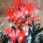 Rooster